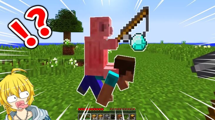 【マイクラ】頭がバグる…何かがおかしいマインクラフト【まいくら・マインクラフト】