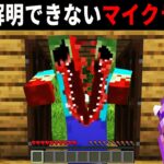 未だ解明できないマイクラの謎【ゆっくり解説】