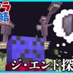 エリトラ探しは超過酷！！マイクラ健康鯖ジ・エンド探索【#らっだぁ切り抜き】