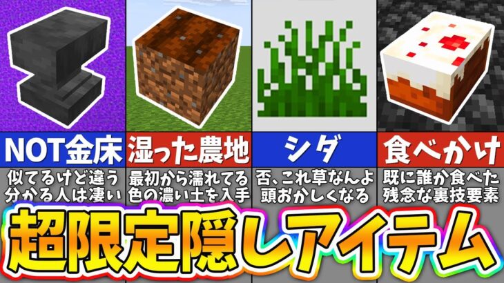 【マイクラ】知られてはいけない統合版限定の隠しブロック＆アイテム１０選【まいくら・マインクラフト】