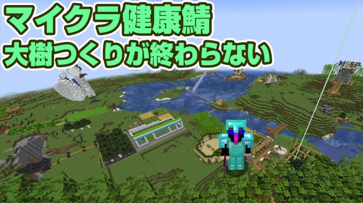 【 マイクラ健康鯖】大樹つくりが終わらない