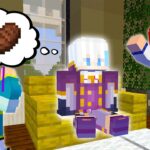 ルザクが留年した本当の理由【マイクラ・マインクラフト】