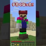 マリオの能力が使えるマインクラフト【まいくら・マインクラフト】