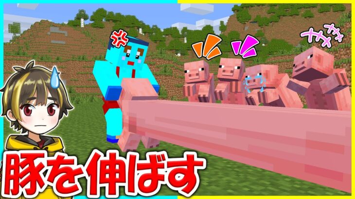 マインクラフトで起きた奇跡がすごすぎるｗｗｗ【まいくら / マインクラフト】