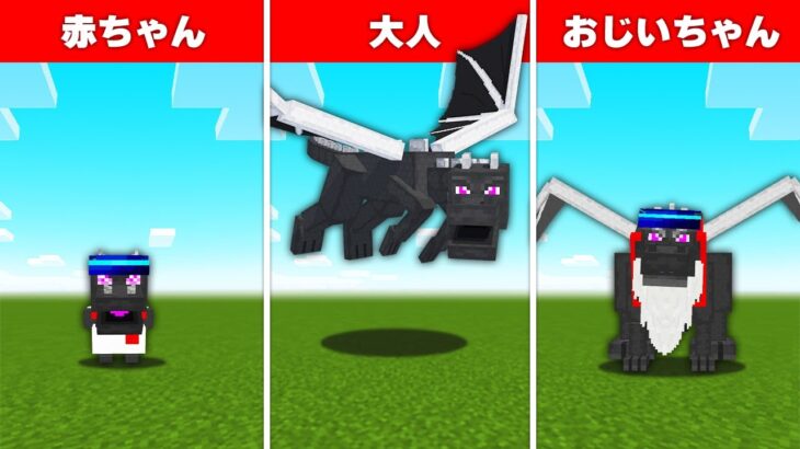 【マイクラ】1週間「エンダードラゴンが歳をとる」世界でサバイバル生活してみた結果！？