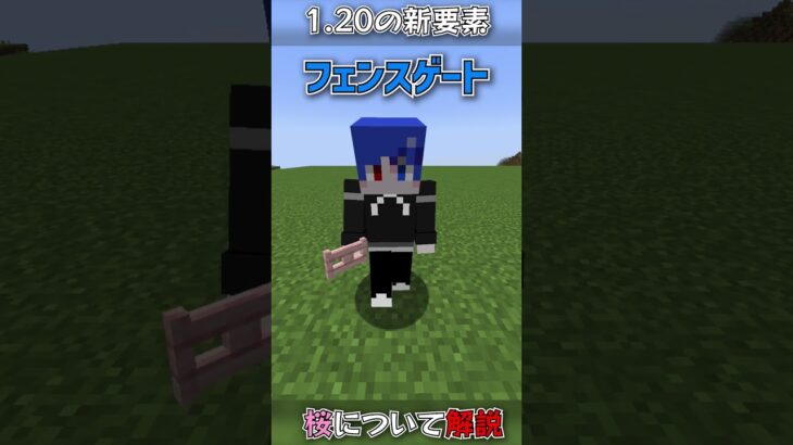 1.20の新要素「サクラ」について解説します！！！！！【マイクラ解説】【サクラ】