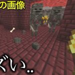 【マイクラ】絶対に許されない要素が突如実装されたのだが..　～10年以上放置されたバグ修正に紛れたエグイ修正がマズい件～【マインクラフト1.20】【Pre-Release1】【小ネタ】