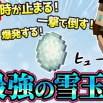 【マイクラ】3種類の最強雪玉がコマンドで作れる！バトルでも大活躍間違いなし！