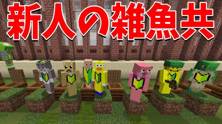 新人の雑魚共に屈辱のバッジスキンを与えて、新人だとわかりやすくします – マインクラフト【KUN】