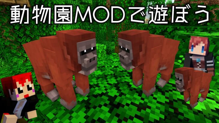 【マイクラ】オランウータンの喧嘩って｢話し合い｣で解決してるらしい!?【動物園MOD/あかがみん/赤髪のとも】#6