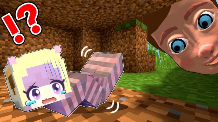 【虫の生活は超大変⁉️💦】ミミズとして生きるマインクラフト🪱【マイクラ Minecraft】ぽっぴんず