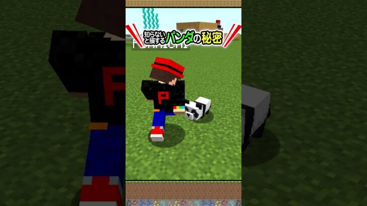 【マイクラ】プロしか知らないパンダの豆知識！激レア茶色の確率や性格＆なつかせたり繁殖させる方法は？くしゃみの仕様や、ケーキを食べさせる裏技も徹底検証！【マインクラフト/Minecraft/まいくら】