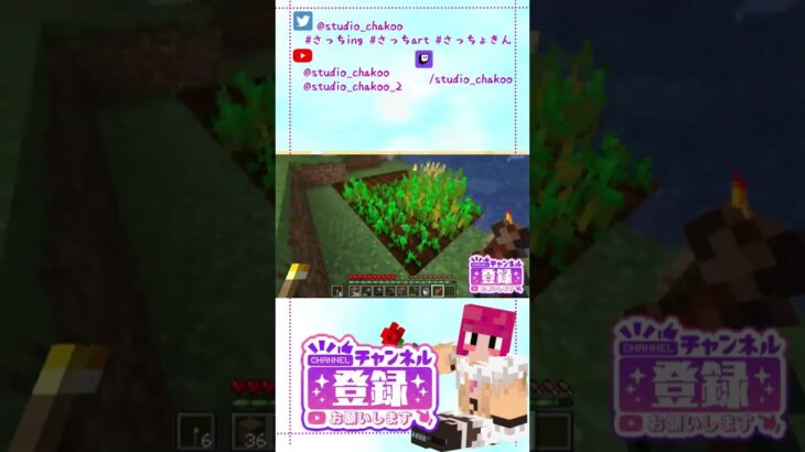 【初心者向け Minecraft Java Edition 1.19.3】建築の基本は豆腐建築！初心者でもできる豆腐ハウスから家の作り方 #shorts #マインクラフト