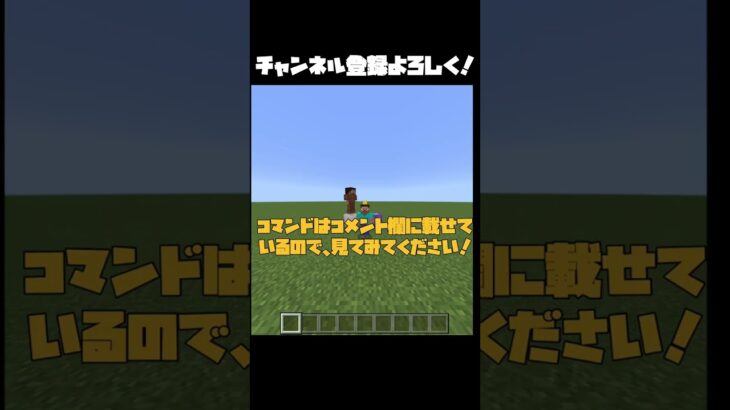 防具立てを回転させるコマンド！！　#マインクラフト　#Minecraft #マイクラコマンド　#shorts