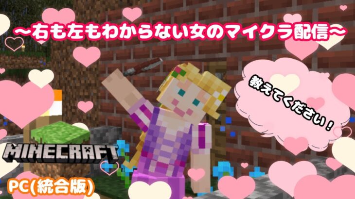 【Minecraft】右も左も分からない初心者のマイクラ配信（PC版）　～初めての釣りの巻～