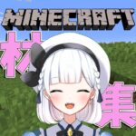 【Minecraft/朝枠】エンチャントテーブル辺りの素材集め！！【星宮しゃろ/#新人Vtuber】