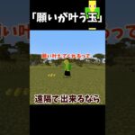 たぶん間違ってる願い玉【マイクラ】＃Shorts