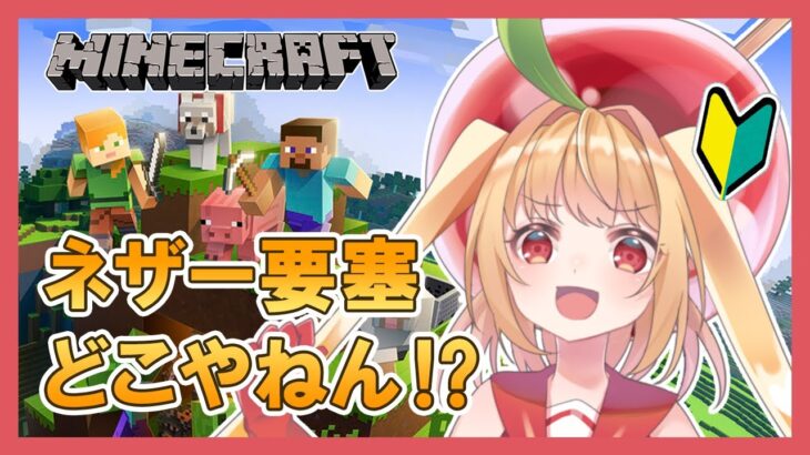 【マイクラ】今日も初心者が地獄をさんぽ！ネザー要塞どこだよぉぉぉ！！！！！【甘衣あぷる🍎🍭／Vtuber】