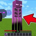 いろんなモブを剥げる世界でサバイバル【マインクラフト】