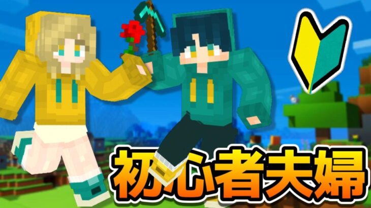 【マイクラ】初ネザーに挑戦！…ネザーって何？？【初心者】