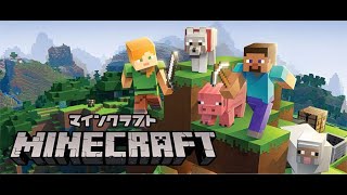 マインクラフト家拡大