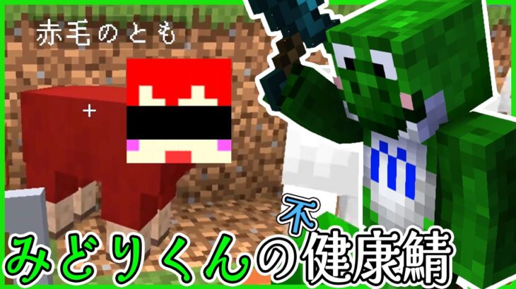 【マイクラ健康鯖】羊とたわむれるみどりくん【みどりくん切り抜き】