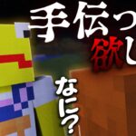 マイクラ健康サーバーに入ったらかねごんに協力プレイ誘われたんだけど…【健康鯖サバイバル】