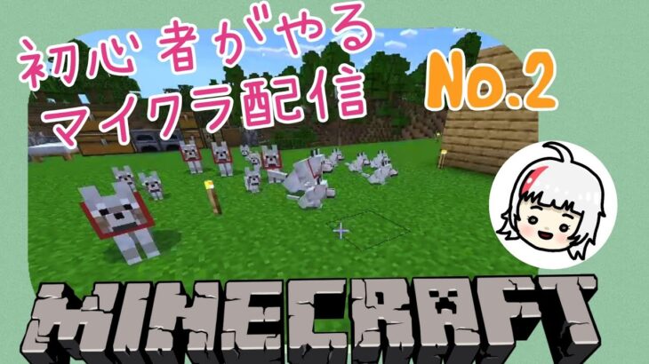 【マイクラ】初心者がやるマイクラ参加型配信✨　#マイクラ　#マインクフト　#マイクラ初心者　#マインクラフト初心者