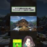 マイクラ建築初心者が雪国の温泉街を作ってみた