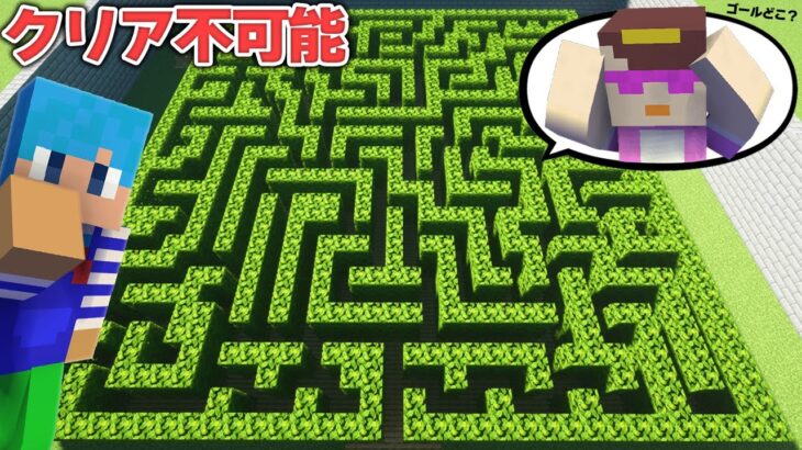 絶対クリアできない迷路させたらいつ気づく？😂【マイクラ / まいくら / マインクラフト】