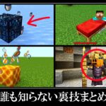 マイクラ統合版の隠されたチート裏技＆無意味すぎる小ネタ５選