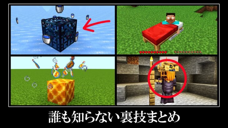 マイクラ統合版の隠されたチート裏技＆無意味すぎる小ネタ５選