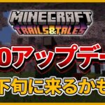 大予想【マイクラ】次期大型アップデートver1.20が5月下旬に正式リリースされるかもしれない…！！