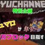 【初見様大歓迎!!!】【#マインクラフト】03 マシュマロがネザー１００万チャレンジするってよ　#ライブ　#マイクラ実況 　#参加型