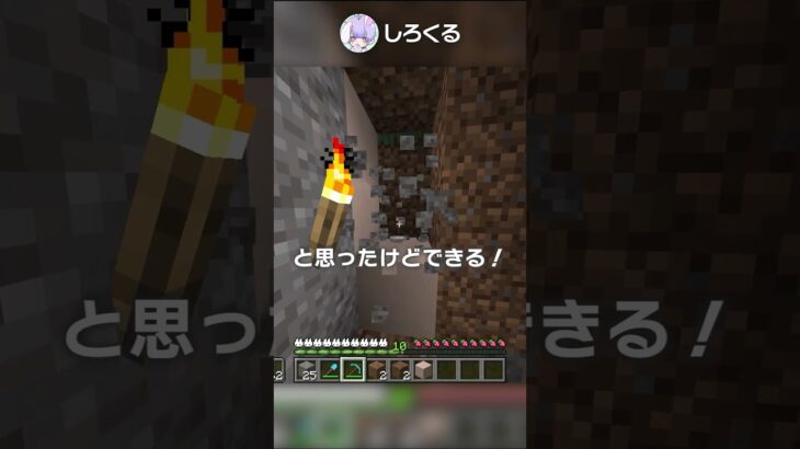 【1.20】不可能なアイテムをゲットする裏技？！【マイクラ豆知識 解説 裏技】