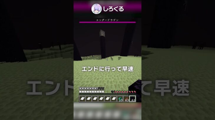 【1.20】岩盤無限増殖バグ？！【マイクラ豆知識 解説 裏技】