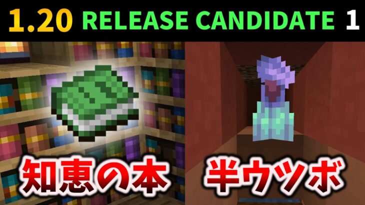 これが最後になるかもしれないマイクラ1.20のキャンディデート [マイクラ1.20 Release Candidate 1]