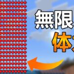 一度はやってみて！体力を増やすコマンド マイクラ統合版1.20