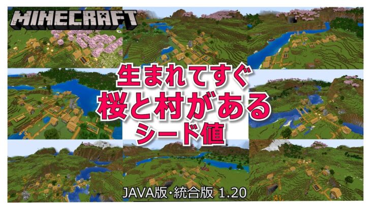 マイクラ  1.20 生まれてすぐ 桜と村があるシード地 !!!!!  統合版・JAVA版 1.20対応　初心者～上級者向け　MINECRAFT