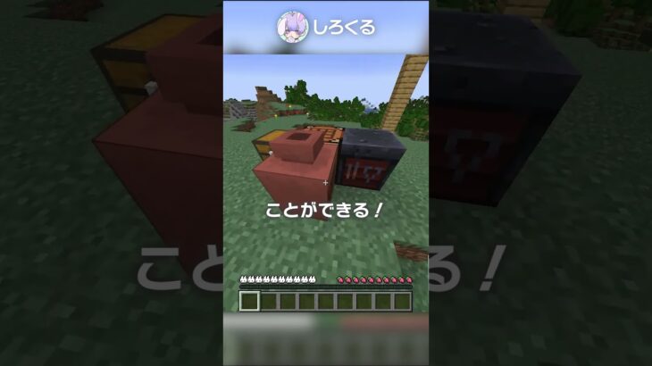 【1.20】最新の神アプデで追加された情報まとめ！パート4【マイクラ豆知識 解説 裏技】