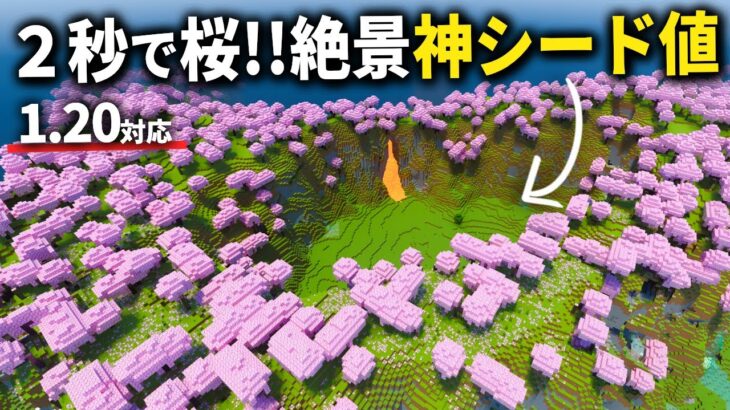 1.20対応【マイクラ統合版】サバイバルにも適した色々揃ってる絶景の桜神シード値を紹介！【PE/PS4/Switch/Xbox/Win10】ver1.20