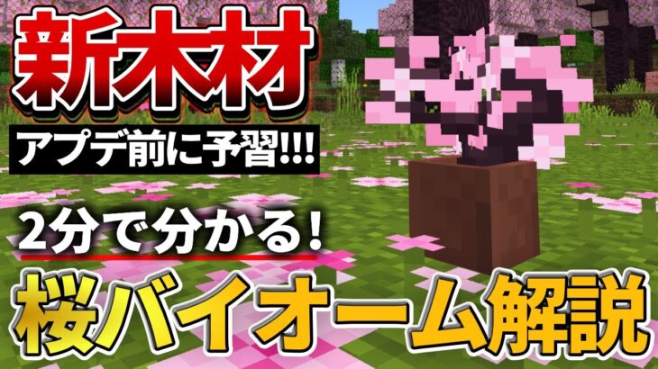 【マイクラ】1.20アプデで追加される「桜バイオーム」についてサクッと解説！【PE/PS4/Switch/Xbox/Win10】ver1.20