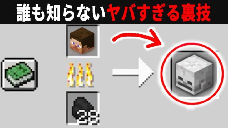 【海外検証】謎が多すぎるマインクラフト10選【ゆっくり実況】【マイクラ】