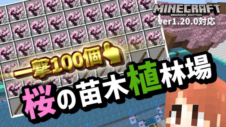 【一撃100個超え】『桜の苗木』を大量入手可能なシンプル効率植林場【マイクラ統合版】【ゆっくり実況】