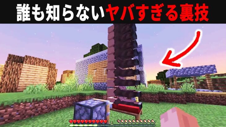 【海外検証】謎が多すぎるマインクラフト12選【ゆっくり実況】【マイクラ】