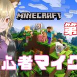 【マインクラフト】第3回！まったりマイクラ