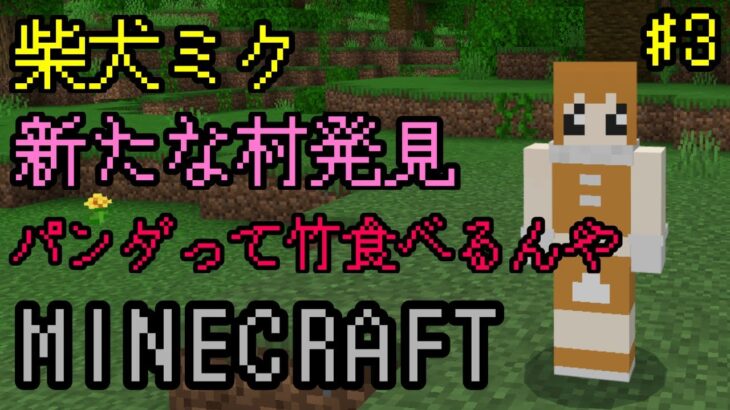 【マイクラ】 #3 まったり雑談しながら整地&家建てよう！＃Maincraft　#マイクラ　#マインクラフト　#柴犬ミク