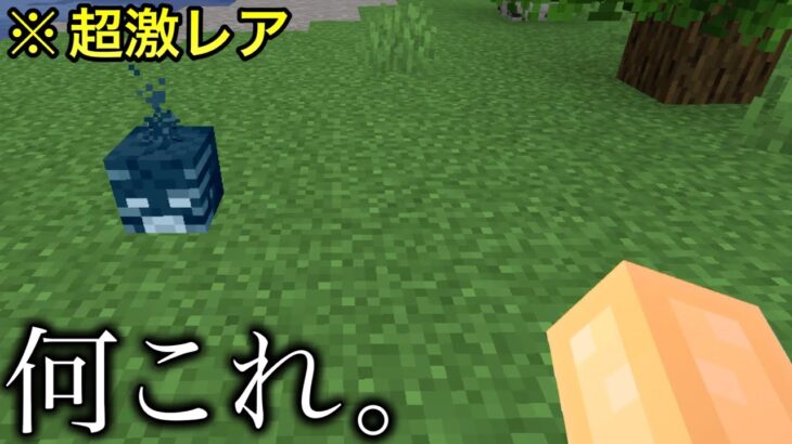 【マイクラ】通常壊せないブロックが.. 〜知っていると面白い超絶雑学8選〜　　【マインクラフト】【ウラ技】【検証】【隠し要素】