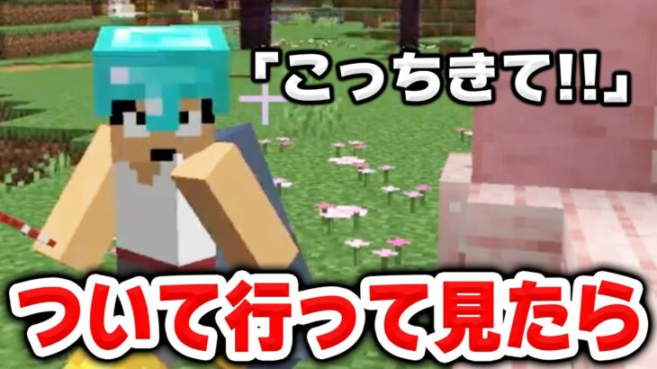 【アツクラ】早朝、カズさんについて行ってみたら・・・【マイクラ_89】