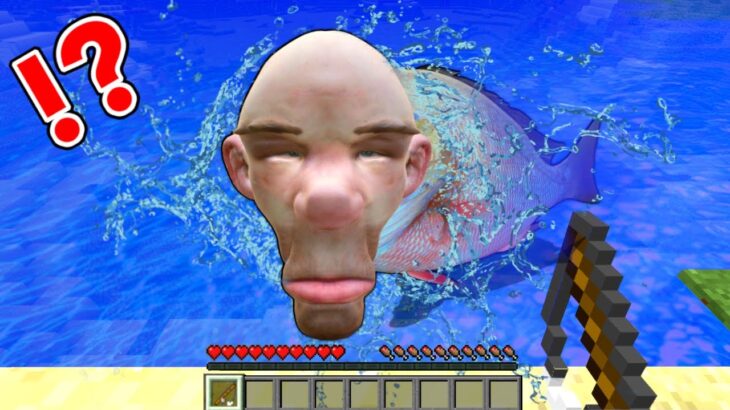 【人面魚をペットにした結果⁉️🐟】変な生き物と暮らすマインクラフト【マイクラ Minecraft】ぽっぴんず